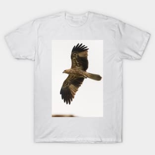 Whistling Kite 06 T-Shirt